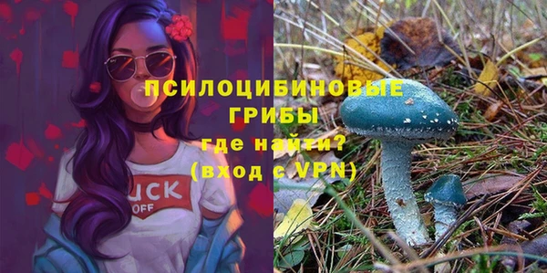 мяу мяу кристалл Горняк