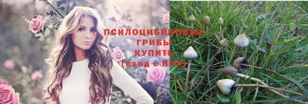 ECSTASY Вязьма
