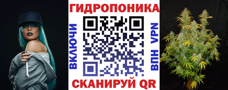 Конопля VHQ  shop телеграм  Зуевка 